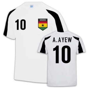 Ghana Sports Training Jersey (Andre Ayew 10)