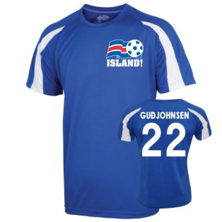 2016-17 Iceland Sports Training Jersey (Gudjohnsen 22) - Kids
