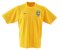 08-09 Brazil Training Jersey (yellow)
