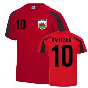 John Hartson Wales Sports Training Jersey (Red)