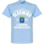 Deportivo Blooming Established T-Shirt - Sky