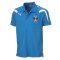 2012-13 Hawick Royal Albert Polo Shirt (Blue)