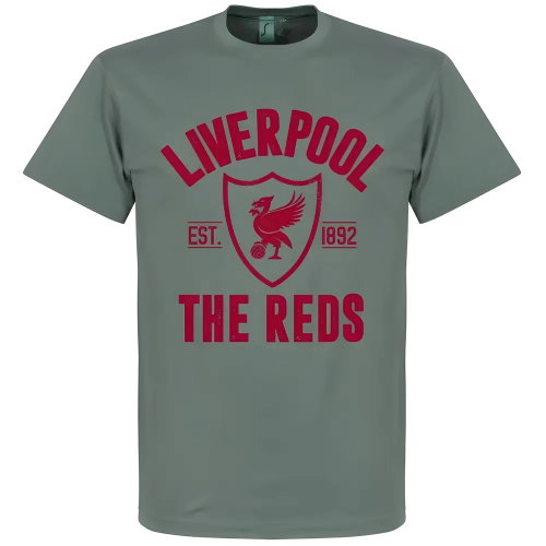 Liverpool Established T-Shirt - Zinc