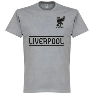 Liverpool Team KIDS T-Shirt - Grey