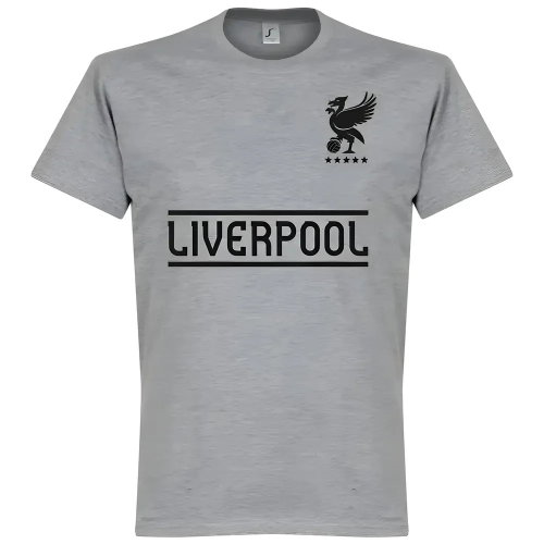 Liverpool Team KIDS T-Shirt - Grey