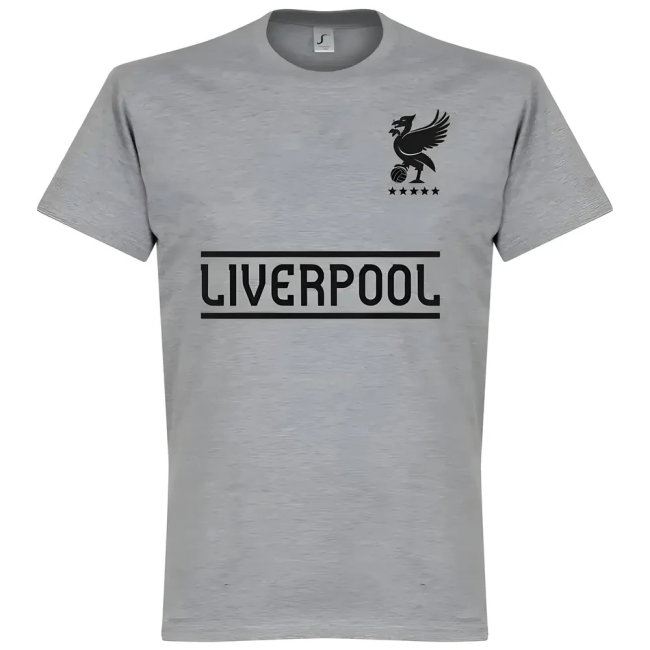 Liverpool Team KIDS T-Shirt - Grey