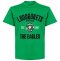 Ludogorets Established T-shirt - Green