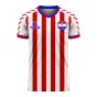 Paraguay 2022-2023 Home Concept Football Kit (Viper) - Womens