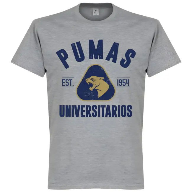Pumas Established T-shirt - Grey Marl