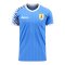 Uruguay 2023-2024 Home Concept Football Kit (Libero) - Womens