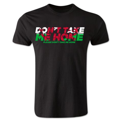 Dont Take Me Home - Wales T-Shirt (Black)