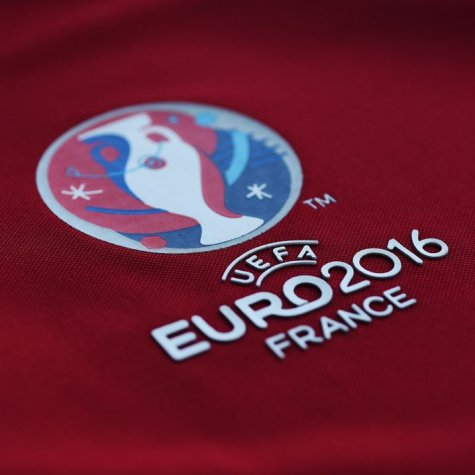 Russia UEFA Euro 2016 Poly Training Tee (Red)