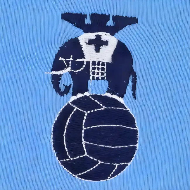 Coventry City 1970s Home Retro Football Shirt