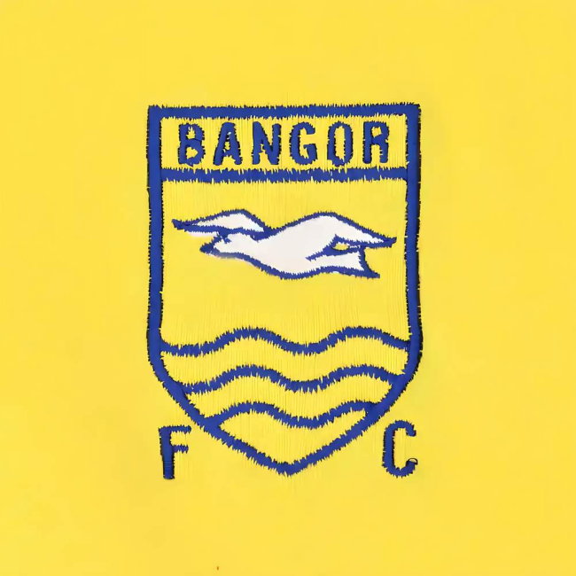 Bangor FC 1970s Retro Football Shirt