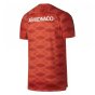 2017-2018 Monaco Nike Dry Pre-Match Training Shirt (Red)