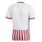 2018-2019 Paraguay Home Adidas Football Shirt