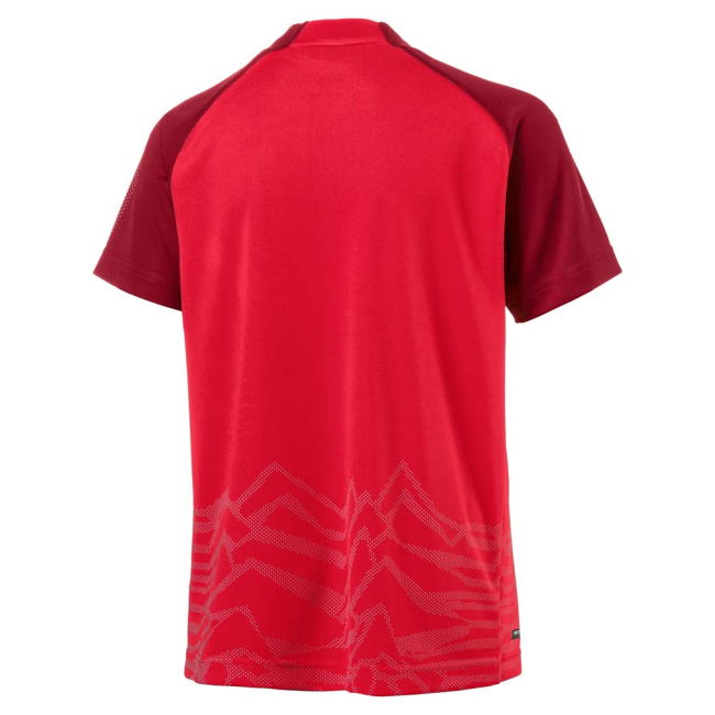 2018-2019 Austria Home Puma Football Shirt (Kids)