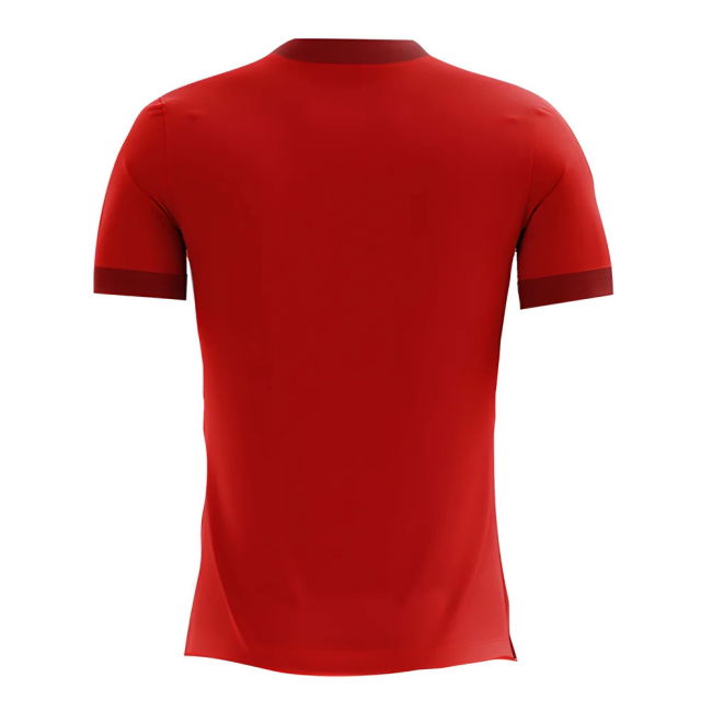 2025-2026 Egypt Home Concept Football Shirt