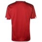 Russia FIFA World Cup 2018 Poly T Shirt Mens (Red)