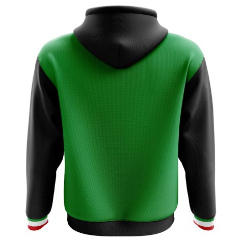 2023-2024 Mexico Home Concept Football Hoody (Kids)