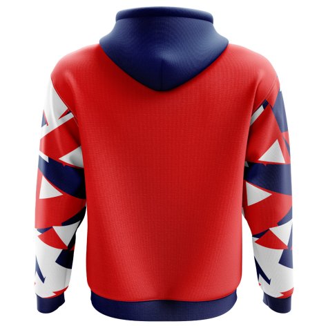 2023-2024 Norway Home Concept Football Hoody