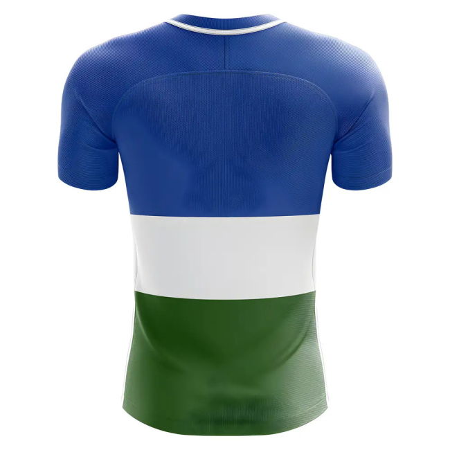 2025-2026 Bashkortostan Home Concept Football Shirt - Adult Long Sleeve