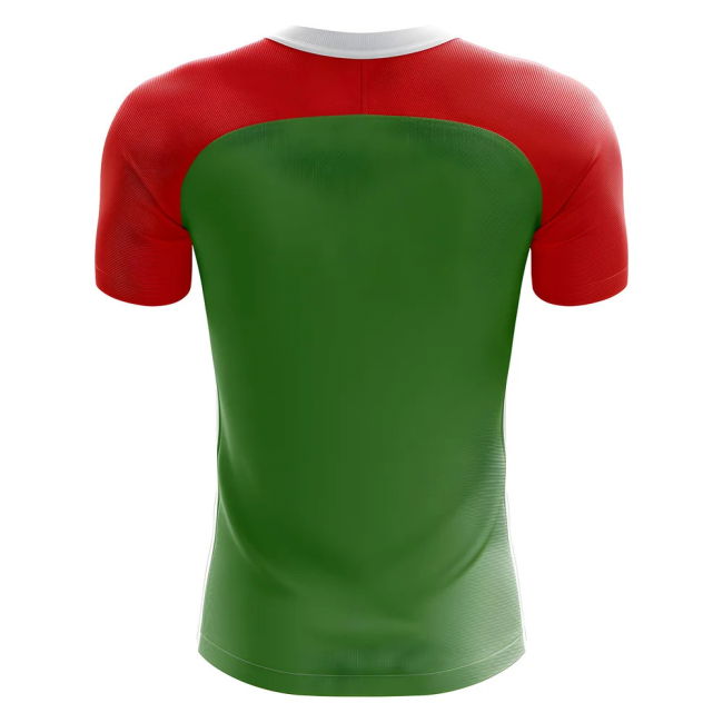 2025-2026 Abkhazia Home Concept Football Shirt - Adult Long Sleeve