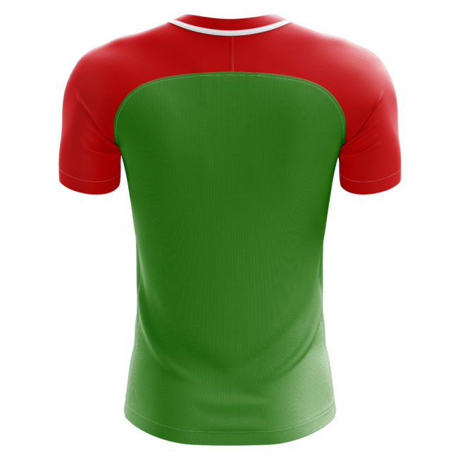 2025-2026 Chechnya Home Concept Football Shirt - Adult Long Sleeve