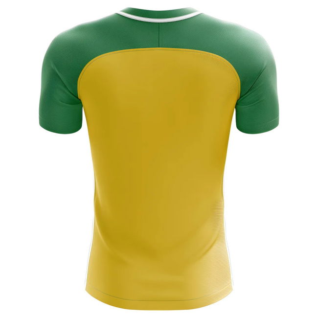 2025-2026 Gabon Home Concept Football Shirt (Aubameyang 9)