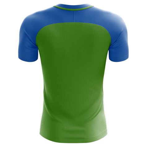 2023-2024 Equatorial Guinea Home Concept Football Shirt - Adult Long Sleeve