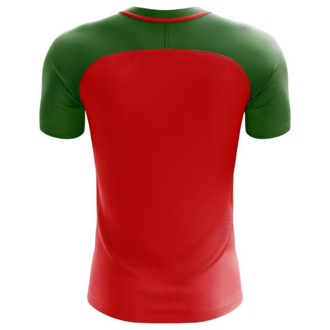 2025-2026 Karelia Home Concept Football Shirt - Adult Long Sleeve
