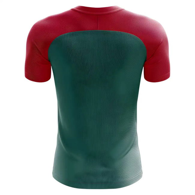 2025-2026 Mozambique Home Concept Football Shirt