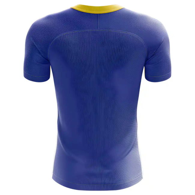 2025-2026 Swaziland Home Concept Football Shirt