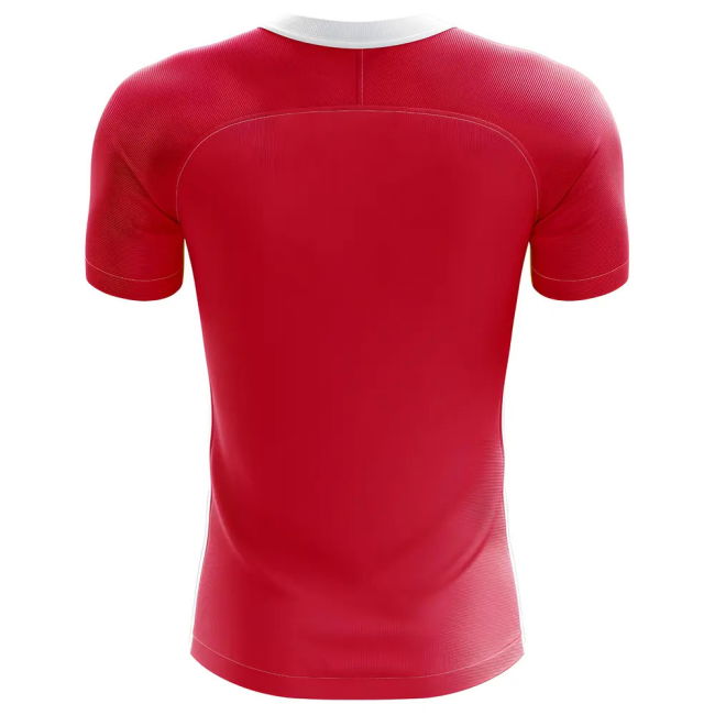 2025-2026 Tajikistan Home Concept Football Shirt