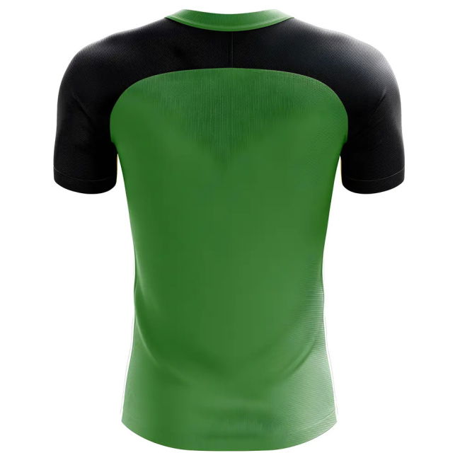 2025-2026 Tanzania Home Concept Football Shirt