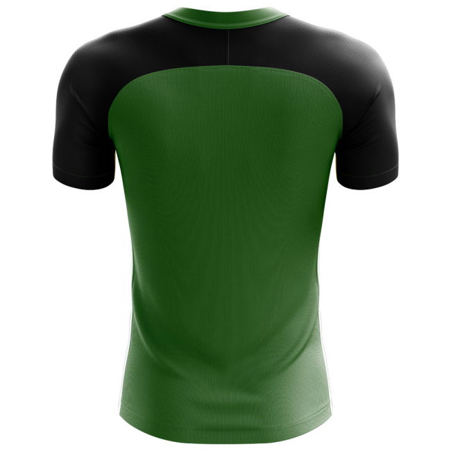 2025-2026 Algeria Flag Concept Football Shirt (Kids)