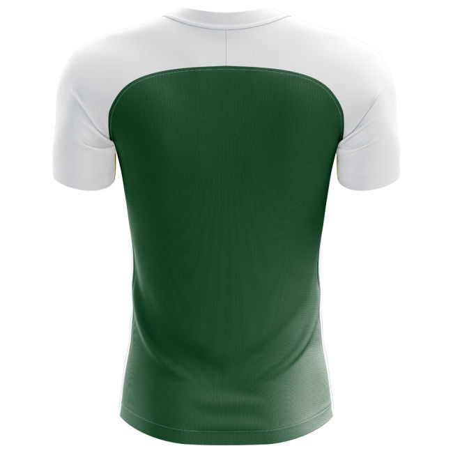 2025-2026 Mexico Flag Concept Football Shirt (Kids)