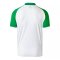2018-2019 Ireland Away New Balance Football Shirt (Kids)