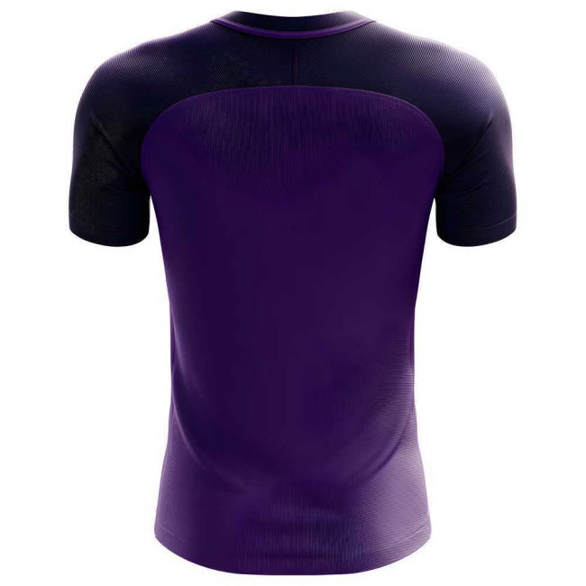 2018-2019 Fiorentina Fans Culture Home Concept Shirt