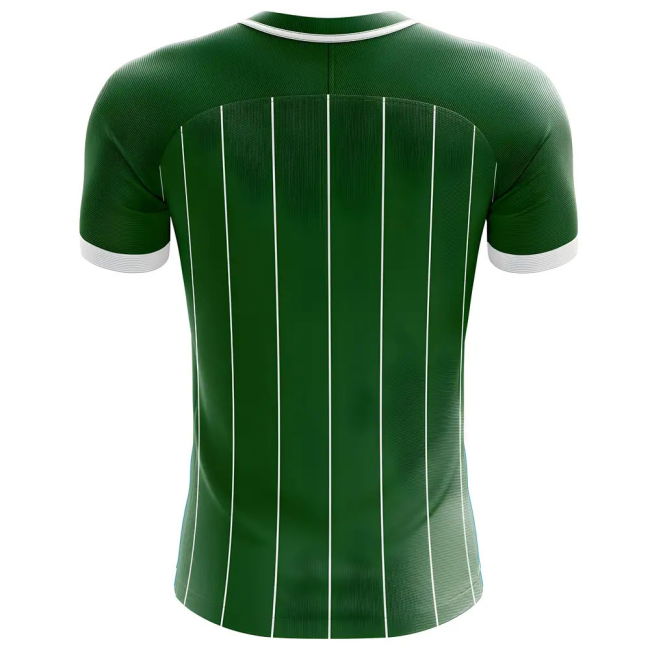2025-2026 Northern Ireland Home Concept Football Shirt