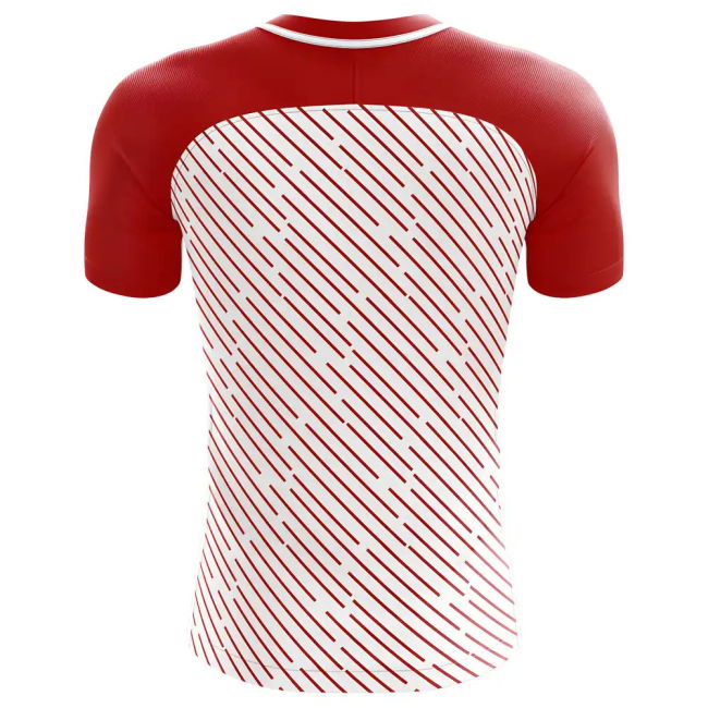 2018-2019 Braga Fans Culture Home Concept Shirt - Baby