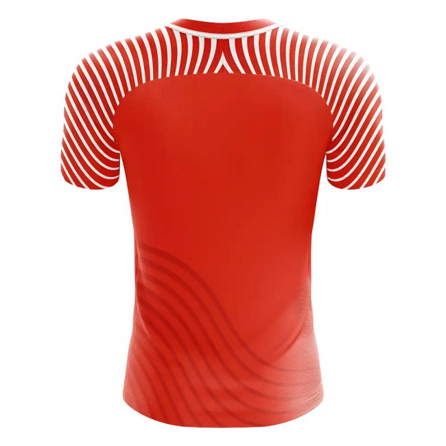 2025-2026 Fortuna Dusseldorf Home Concept Football Shirt