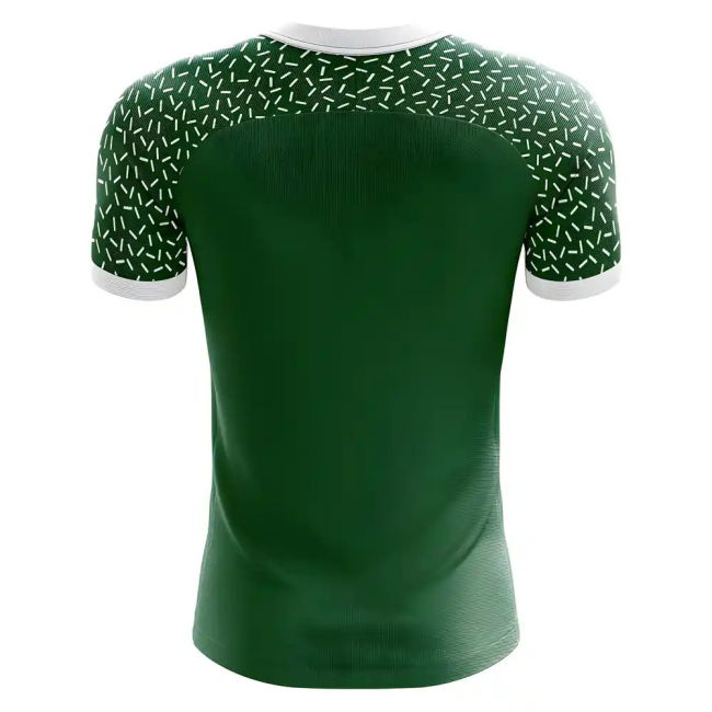 2025-2026 Chapecoense Home Concept Football Shirt