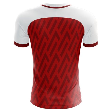 2023-2024 Mainz Home Concept Football Shirt - Adult Long Sleeve