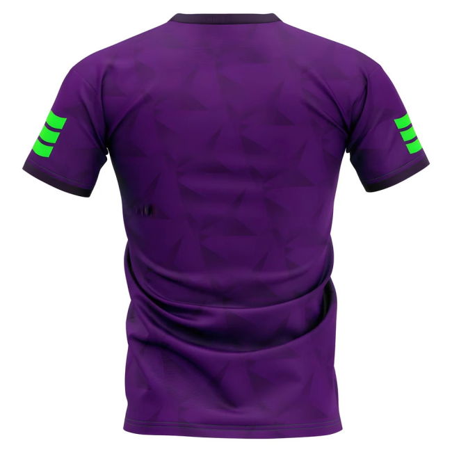 2025-2026 Sanfrecce Hiroshima Home Concept Football Shirt