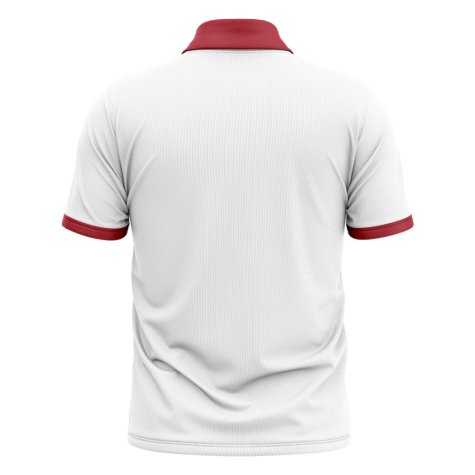 2023-2024 England Cricket Concept Shirt (Vince 14)