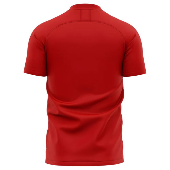 2025-2026 Southampton Home Concept Football Shirt (Your Name)