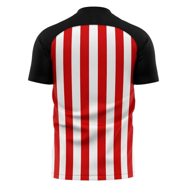 2025-2026 Sunderland Home Concept Football Shirt (Your Name)