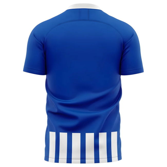 2025-2026 Heerenveen Home Concept Football Shirt - Kids (Long Sleeve)