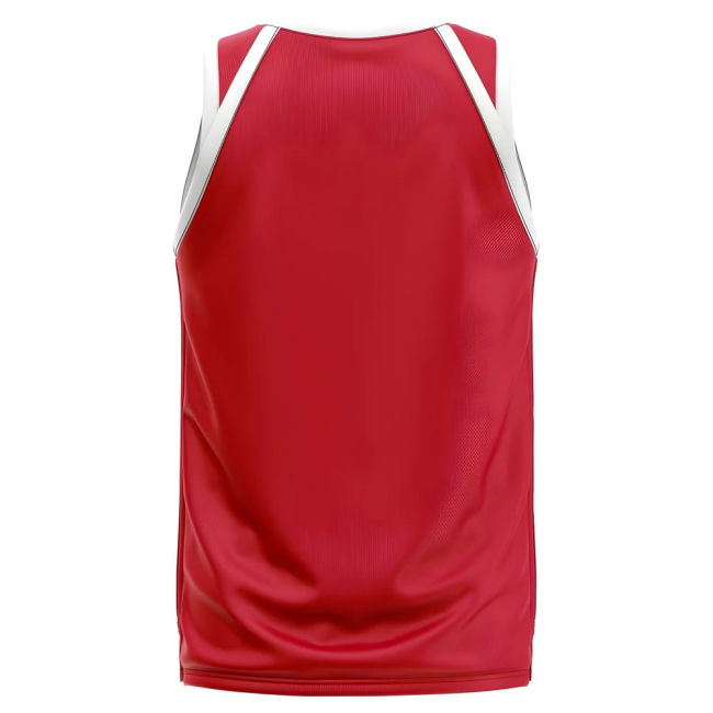Peru Home Concept Basketball Shirt